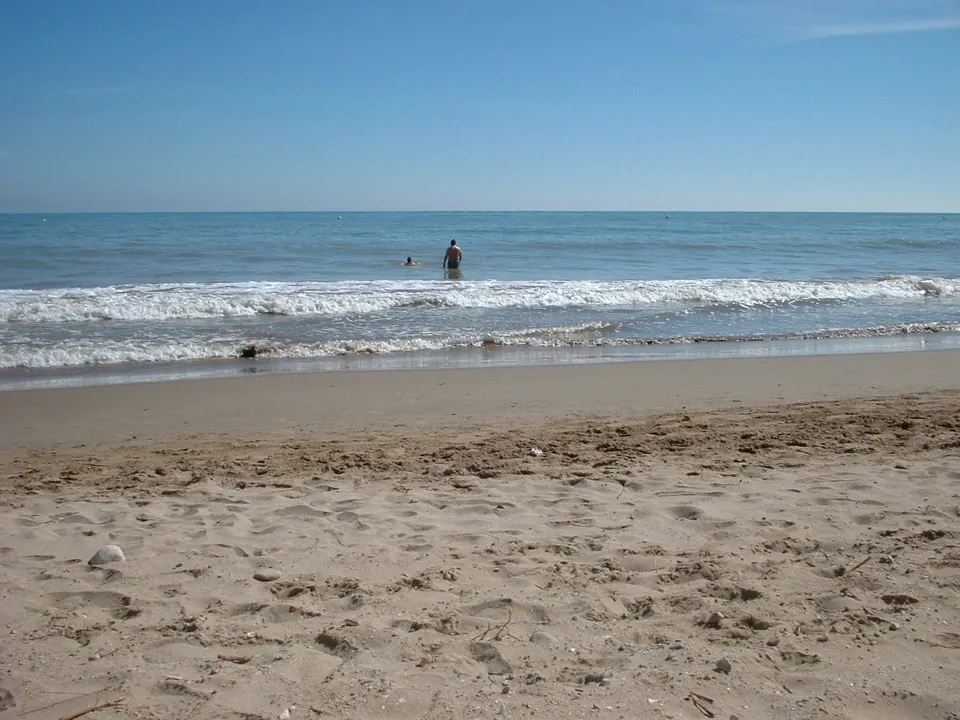 Dscf0074
