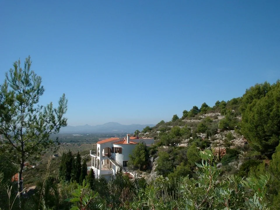 Hillside view65