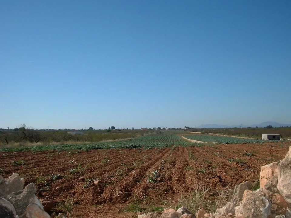 Marketgarden