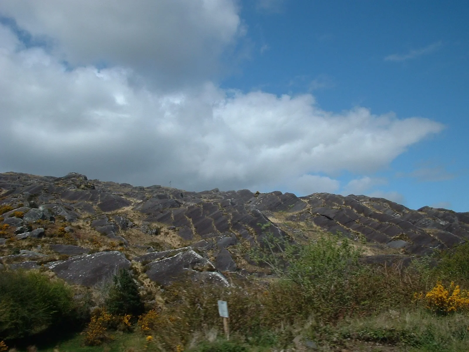 Dscf0070