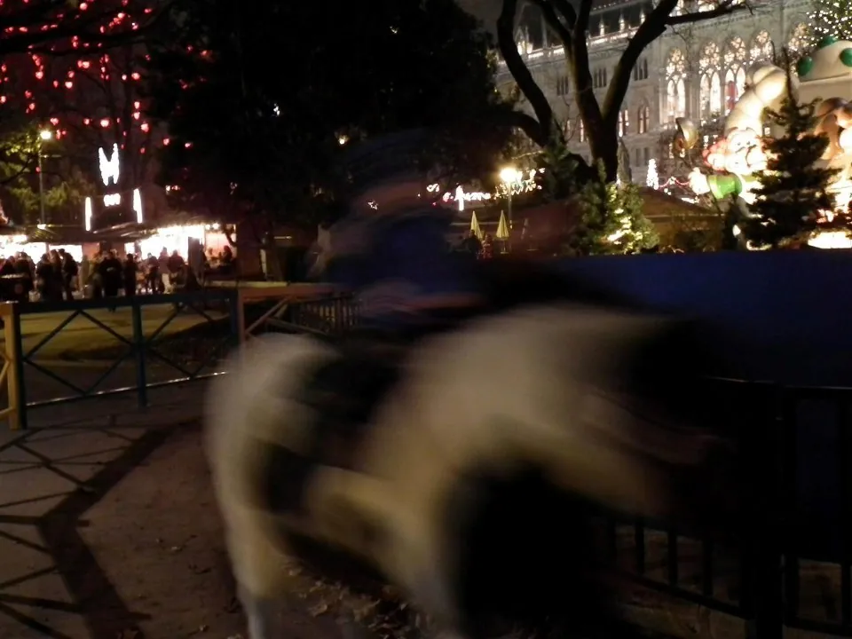Austria Vienna for Christmas