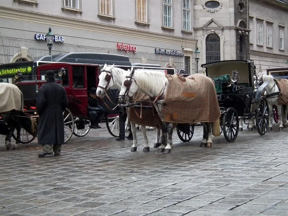 Austria Vienna for Christmas