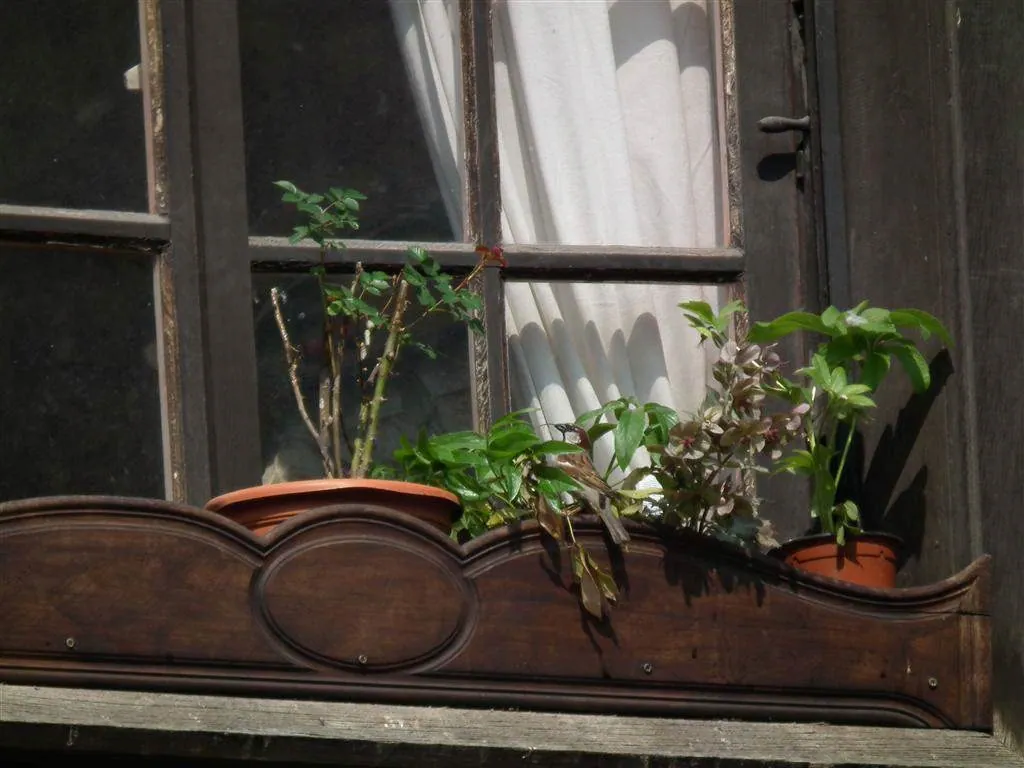 Rouen 2011 136 20130219 1953750441