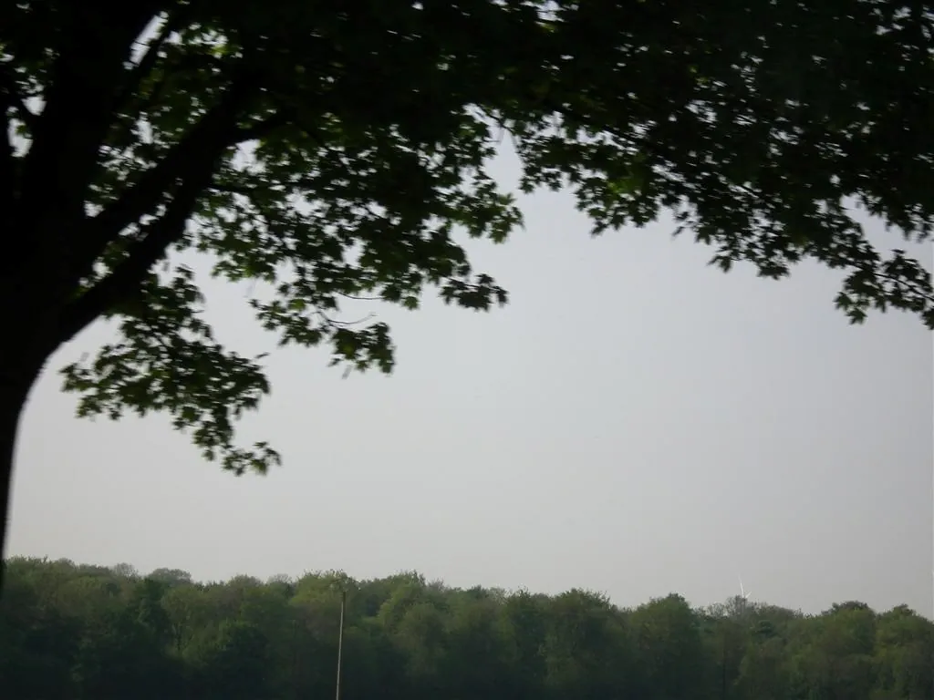 Rouen 2011 184 20130219 1451024448