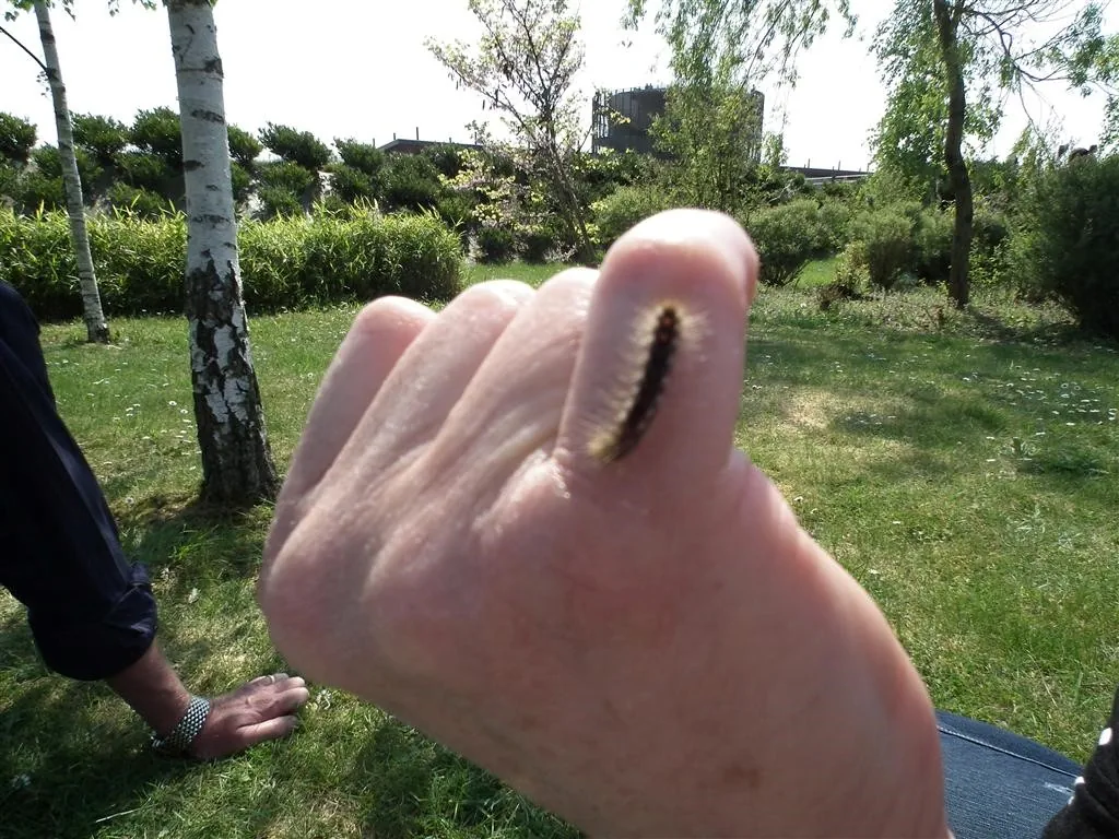 Rouen 2011 21 20130219 1065712041