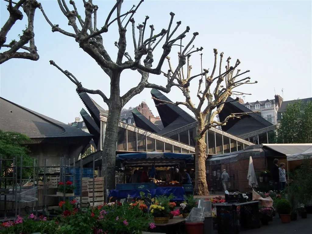 Rouen 2011 93 20130219 1555801710