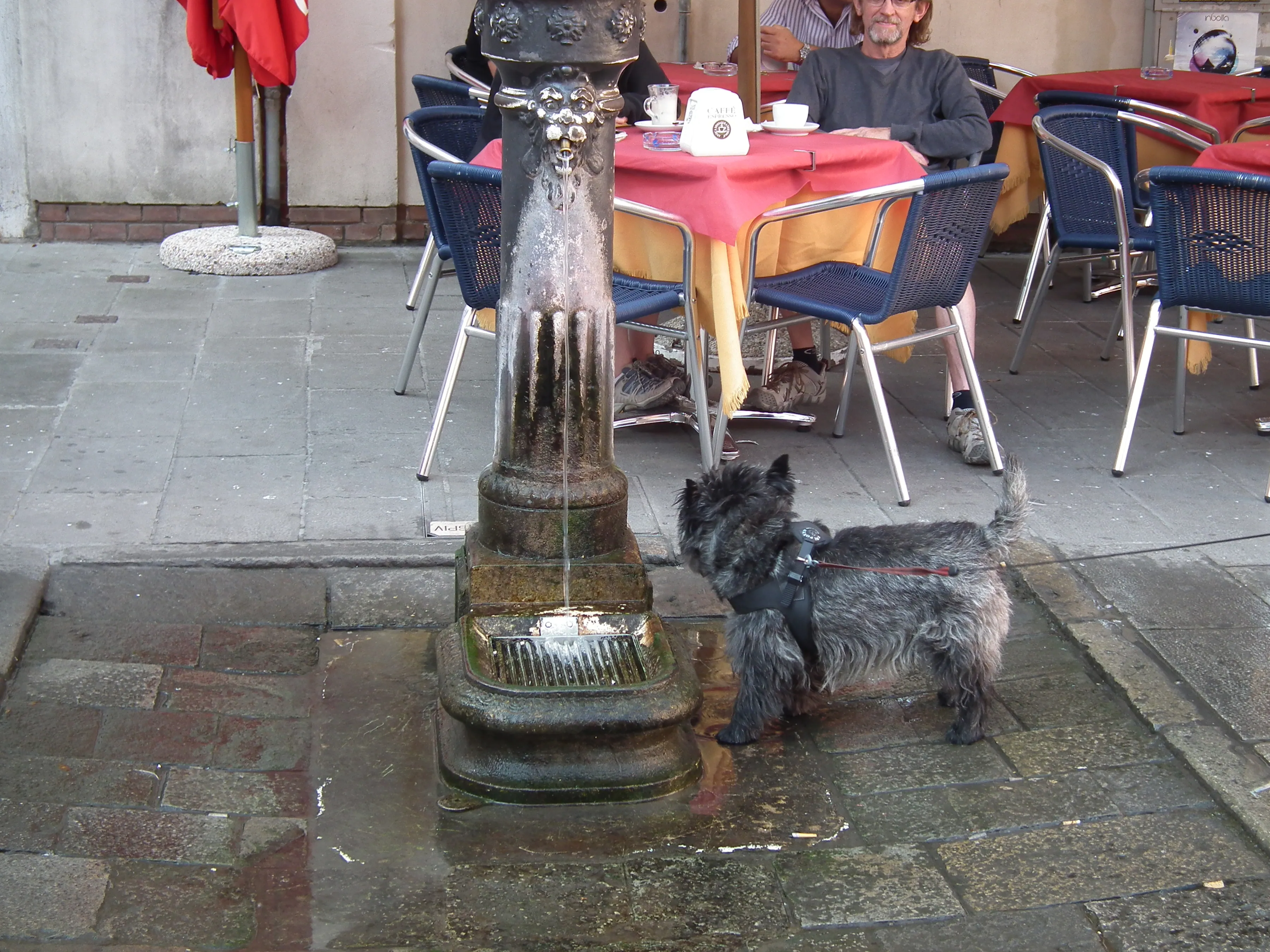 Dscf1374