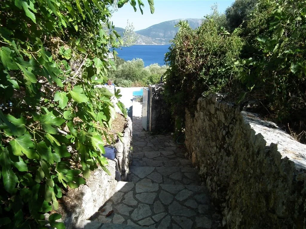 Dscf3769