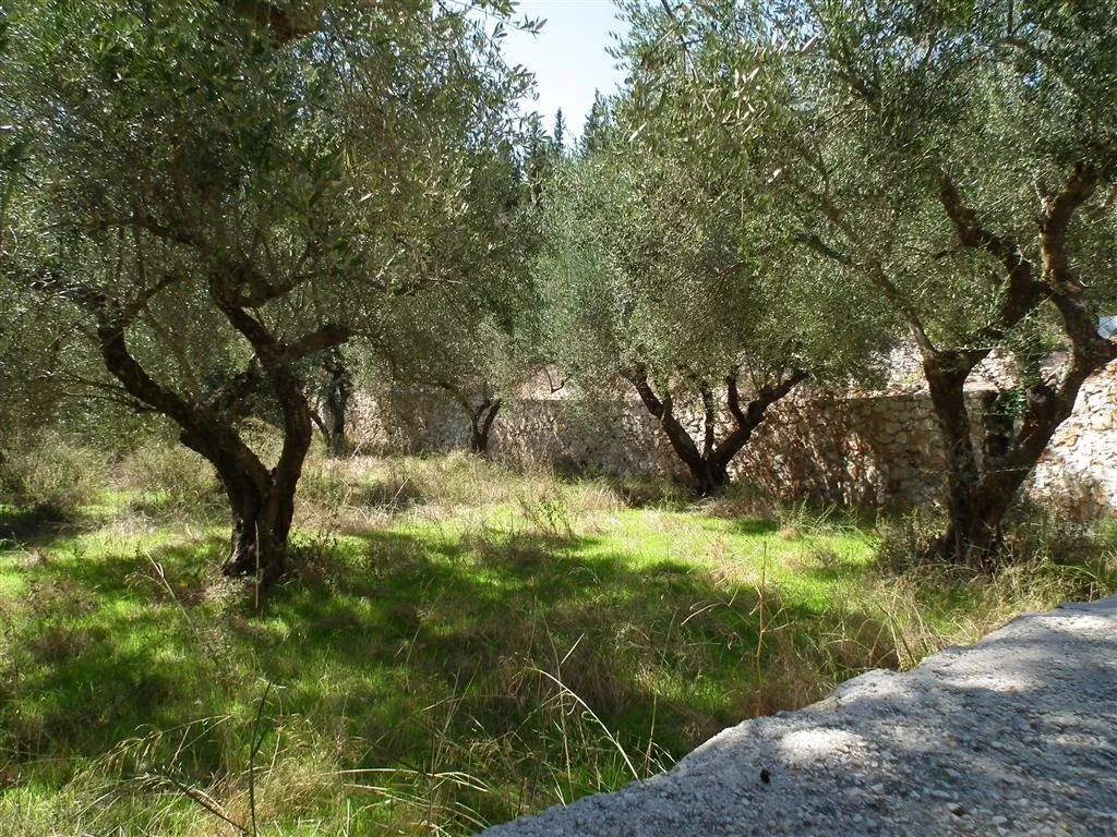 Dscf3867
