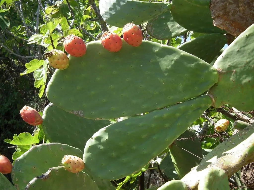 Dscf3889