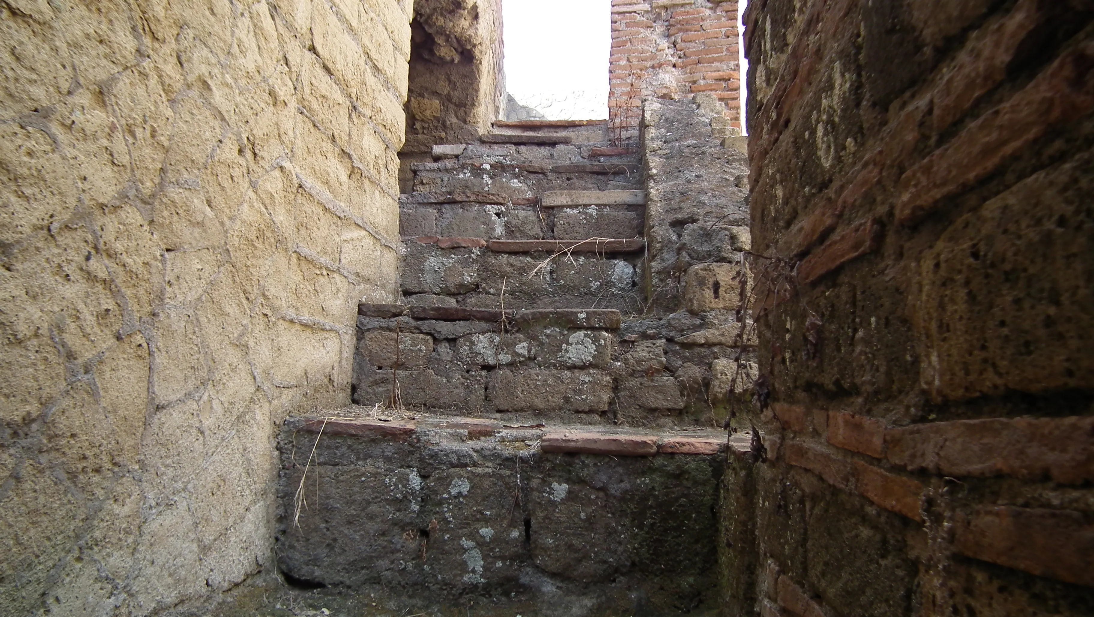 Dscf4469