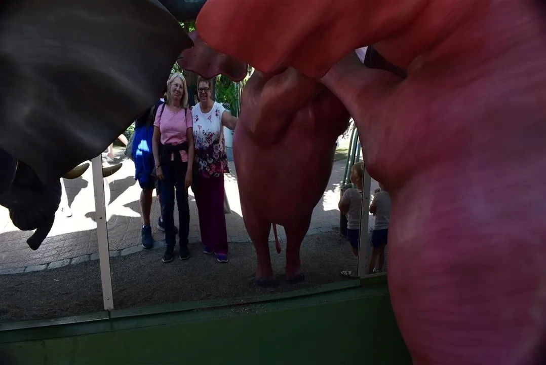 G19.3 tivoli gardens wed 19 jul 7