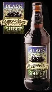 Bottles rigg1