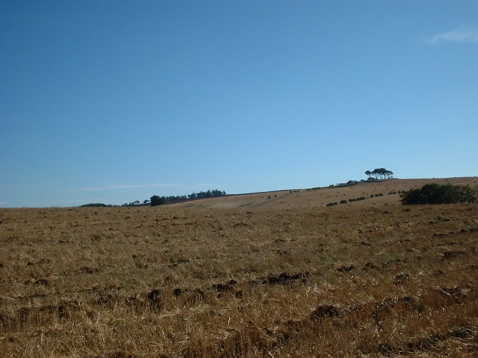 Dscf0036