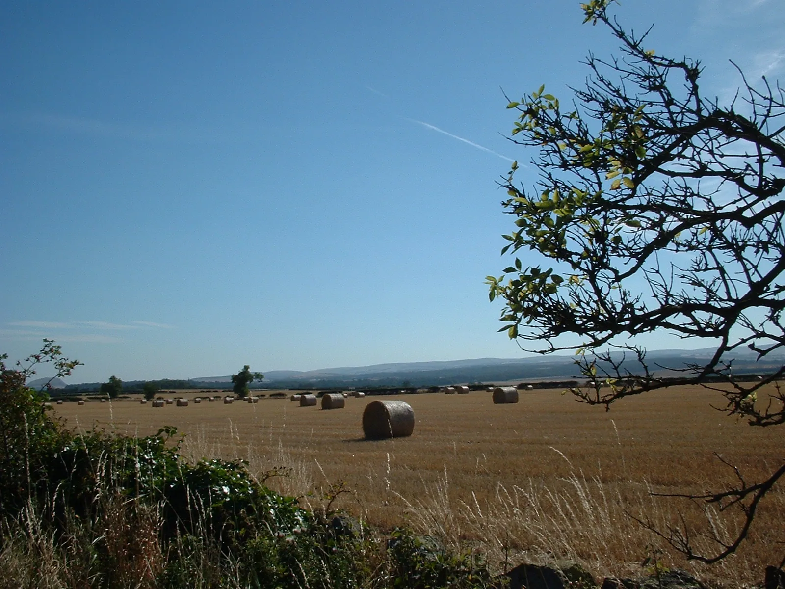 Dscf0039