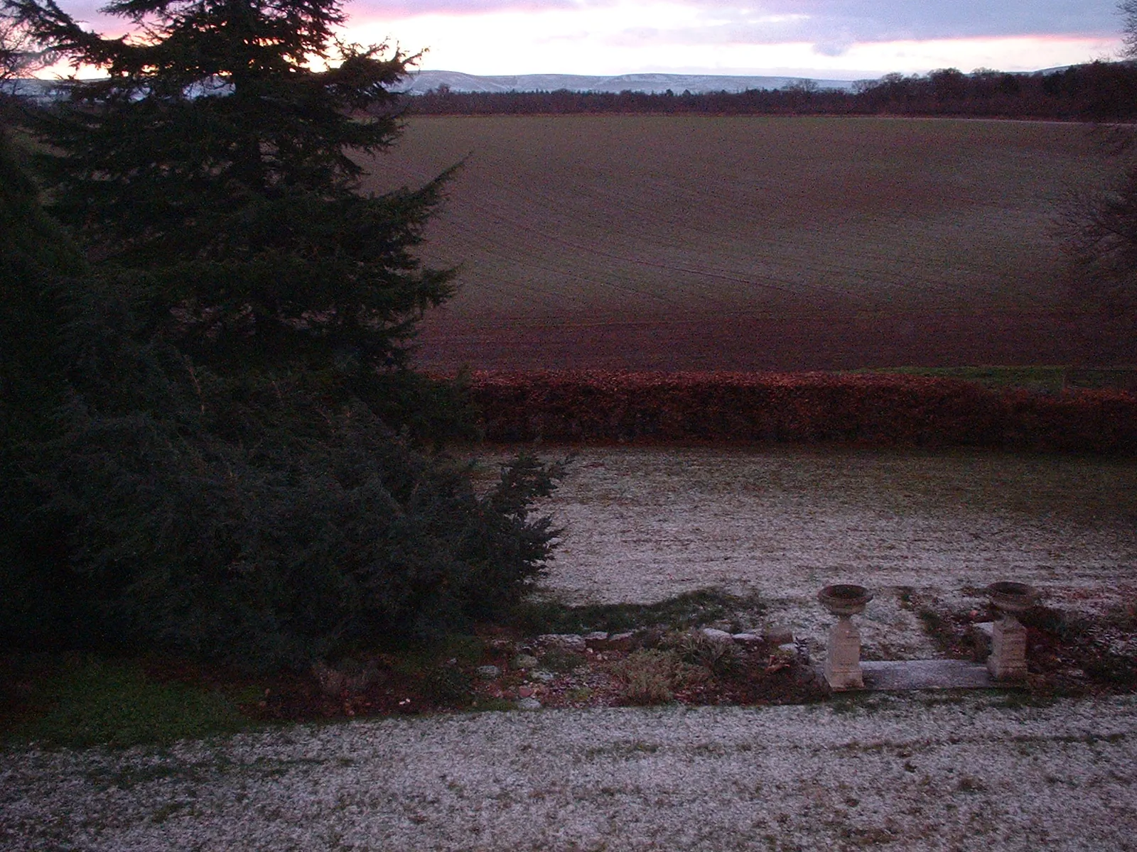 Dscf0049