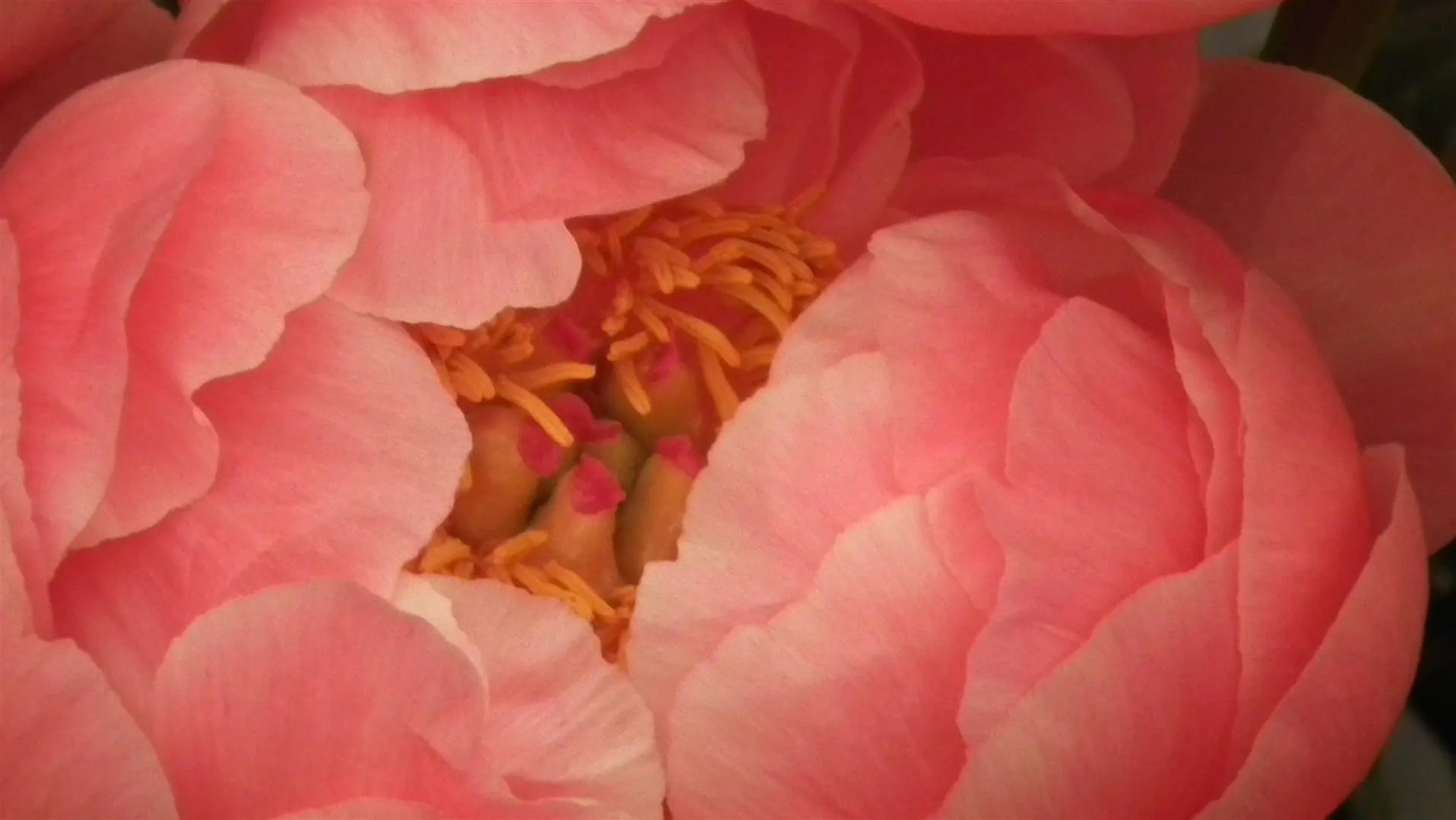 Dscf5494