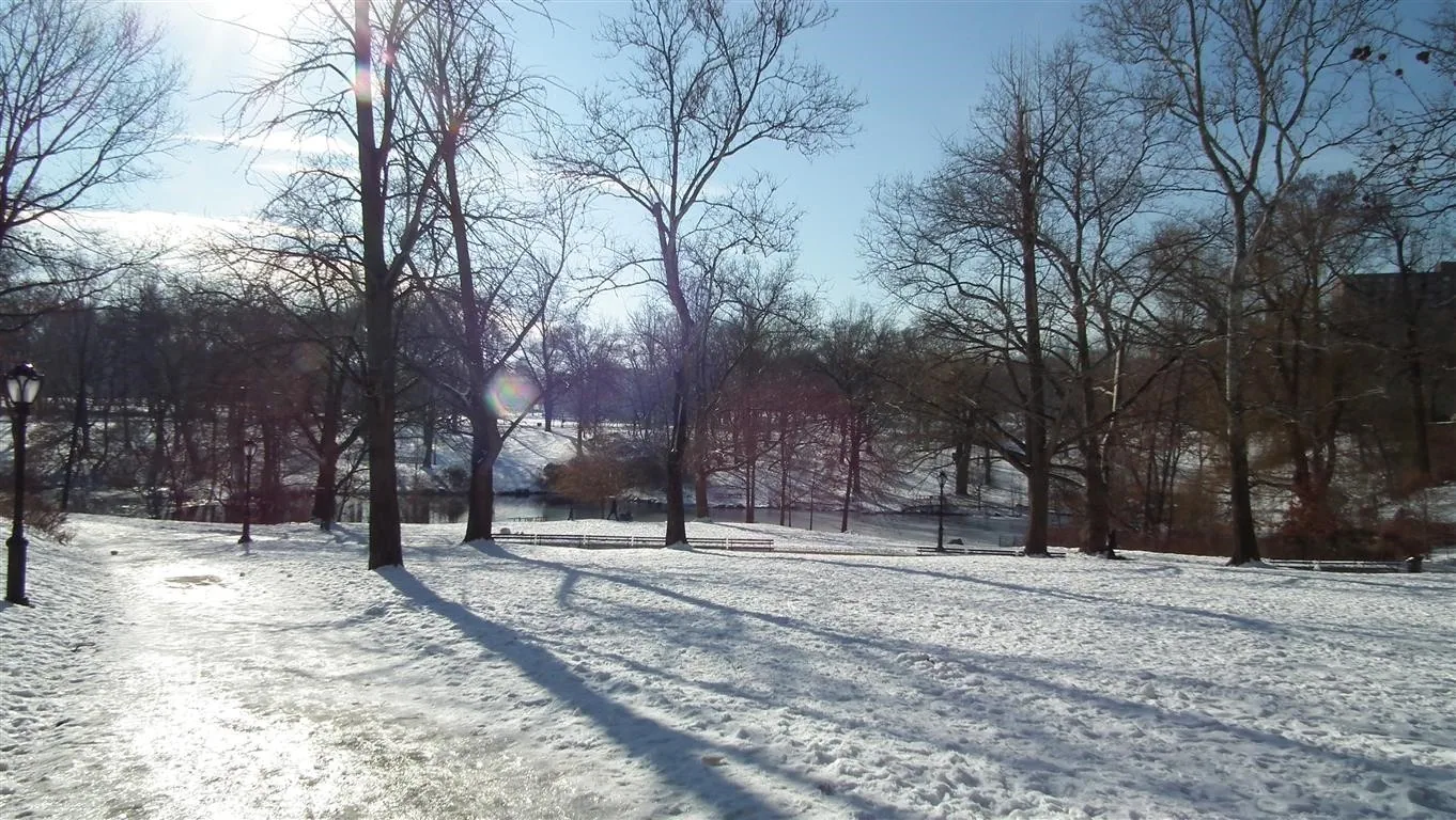 Dscf6964