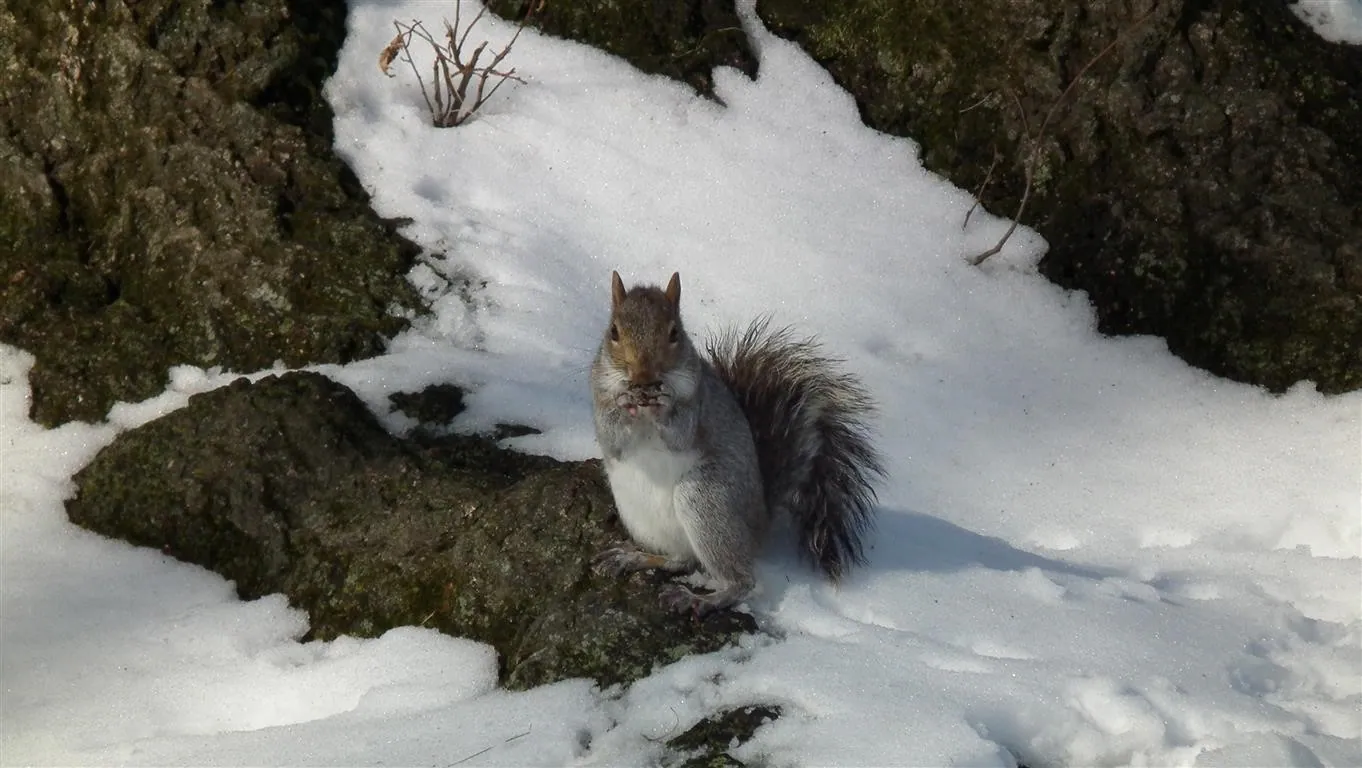 Dscf6982