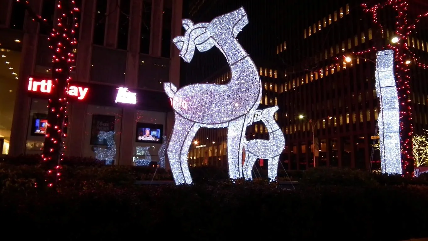 Dscf7050