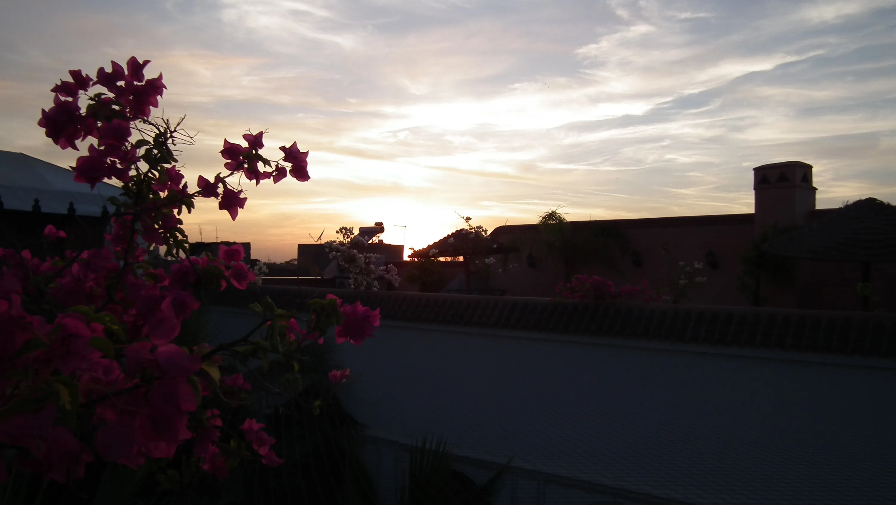 DSCF1384