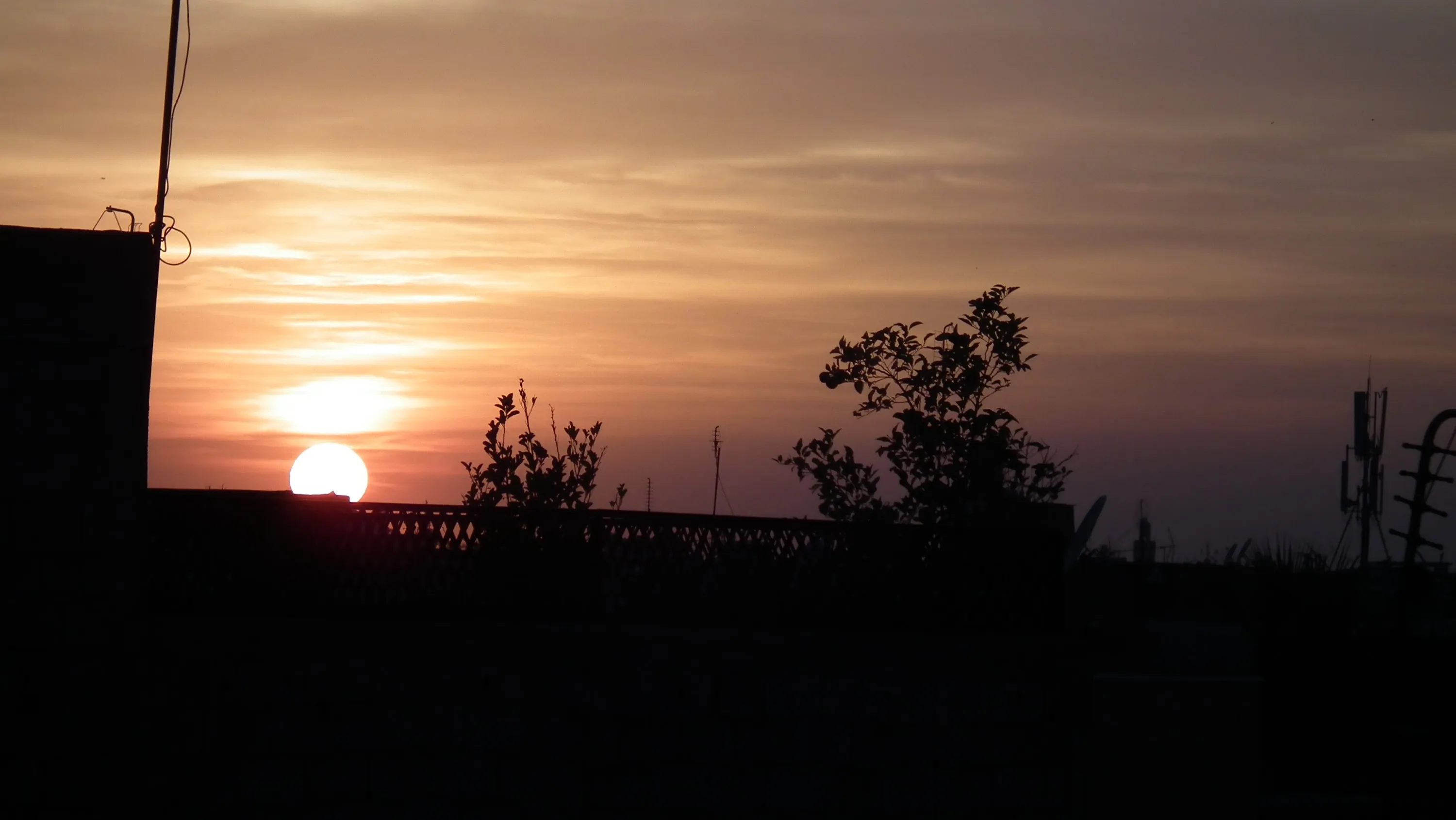 DSCF1389