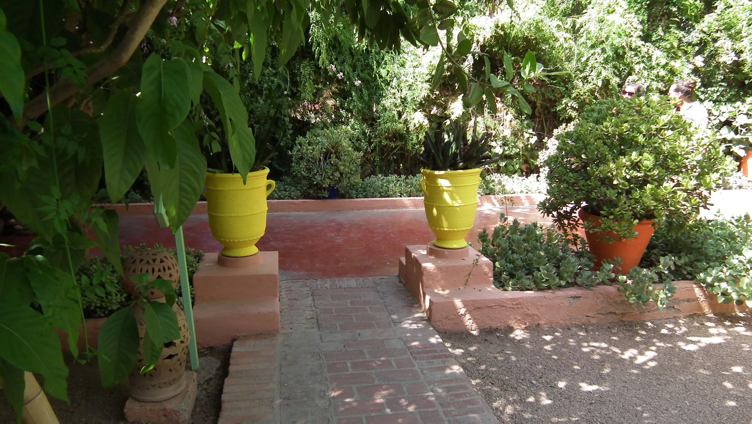 DSCF1589