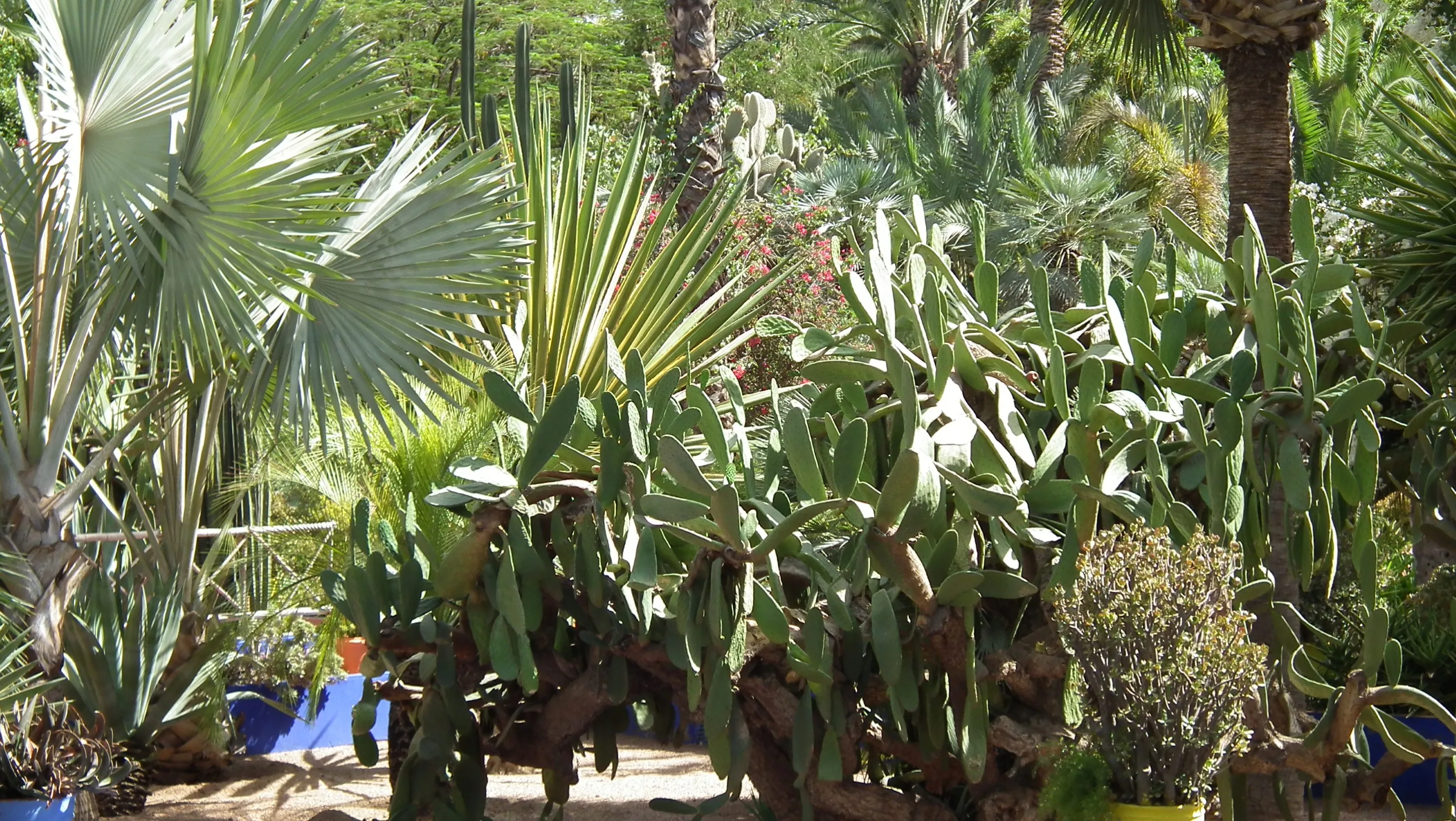 DSCF1604