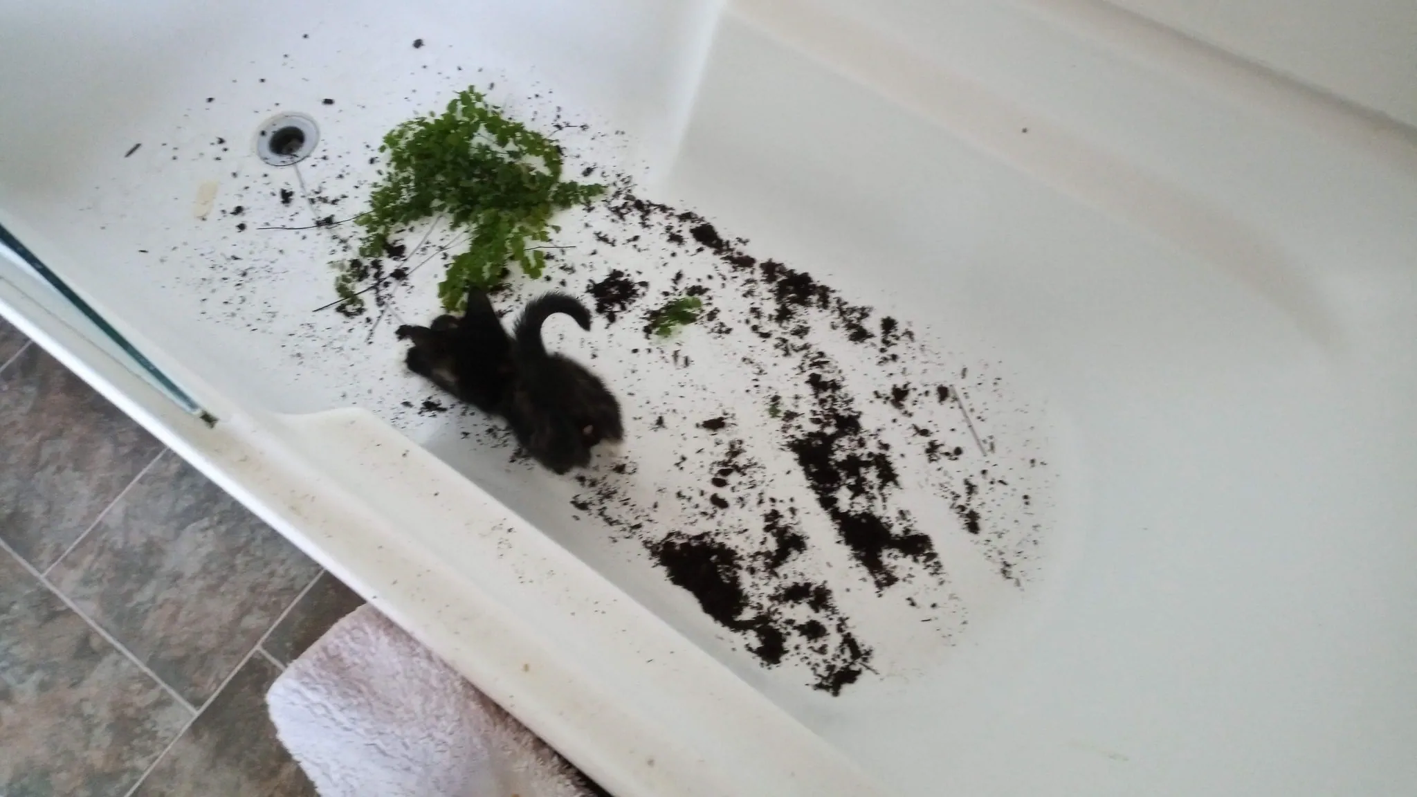 Img 20200116 175806 0