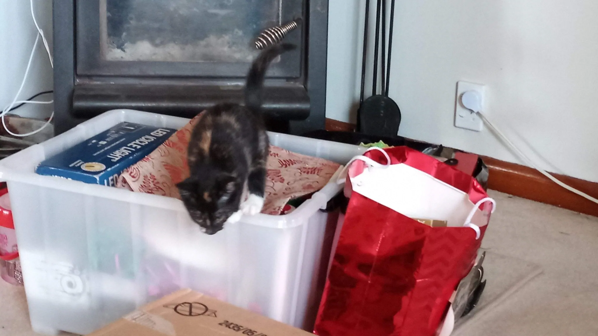 Img 20200117 180653 7