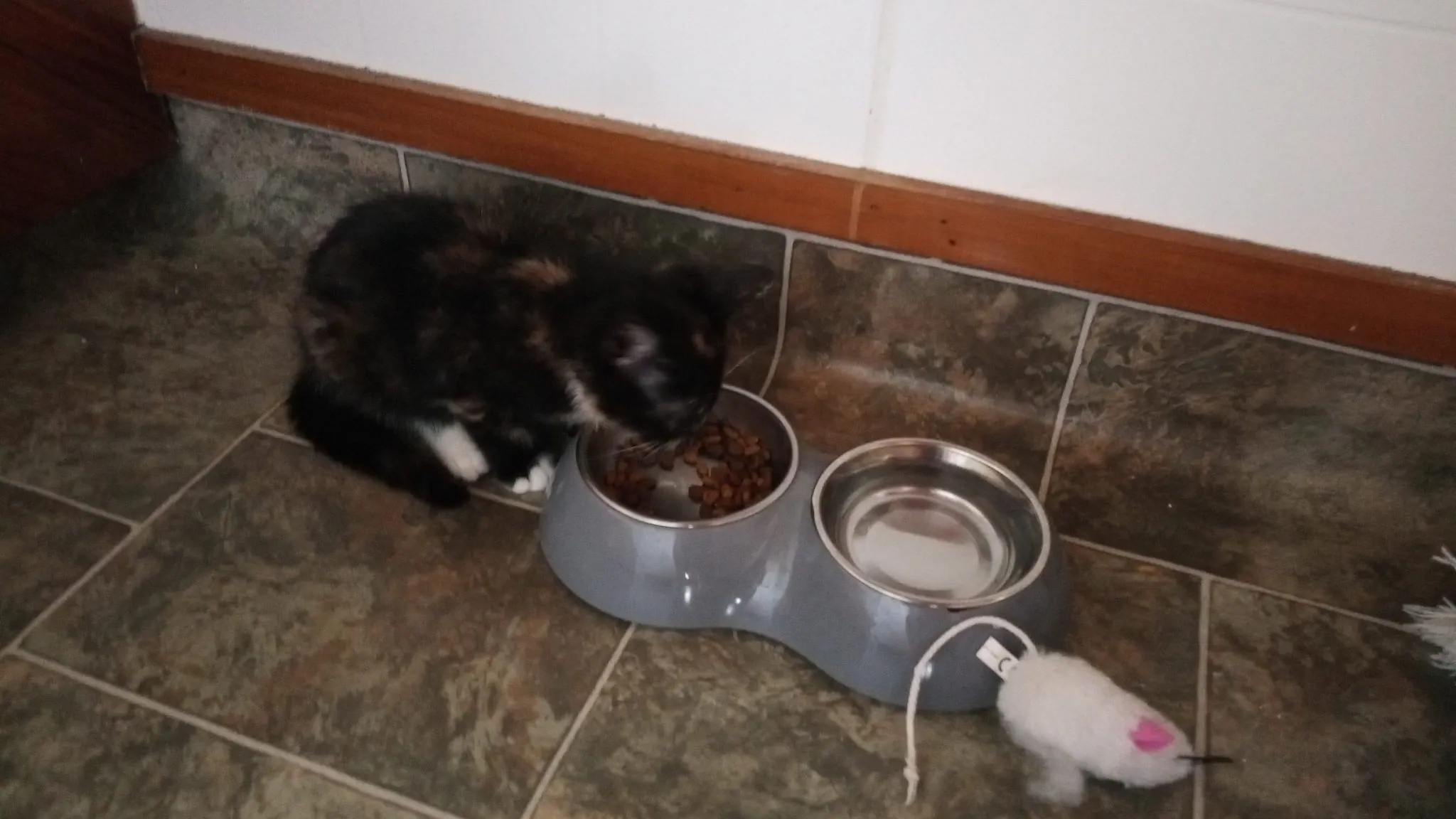 Img 20200123 181626 6