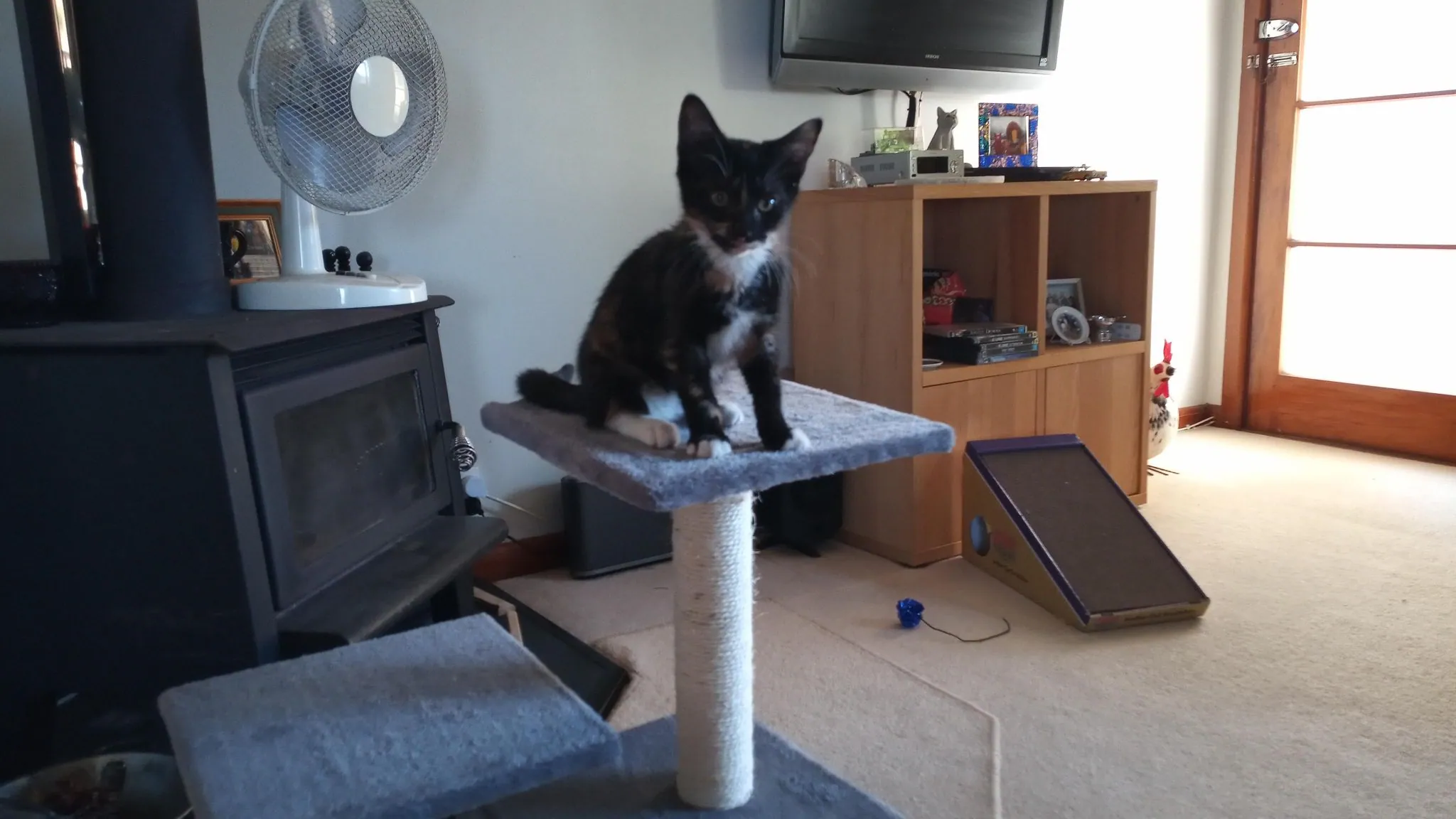 Img 20200208 082756 7