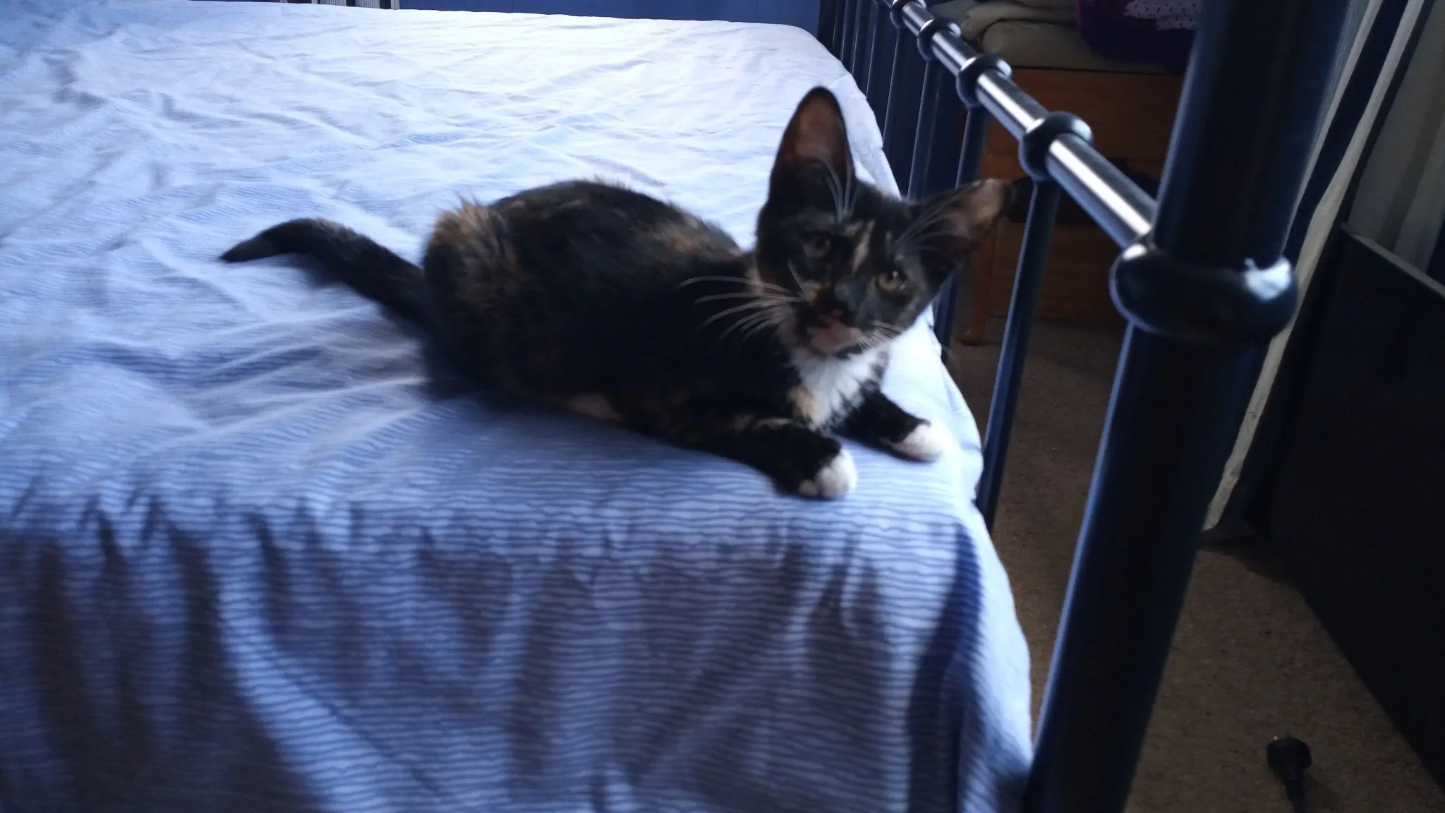 Img 20200209 120616 6