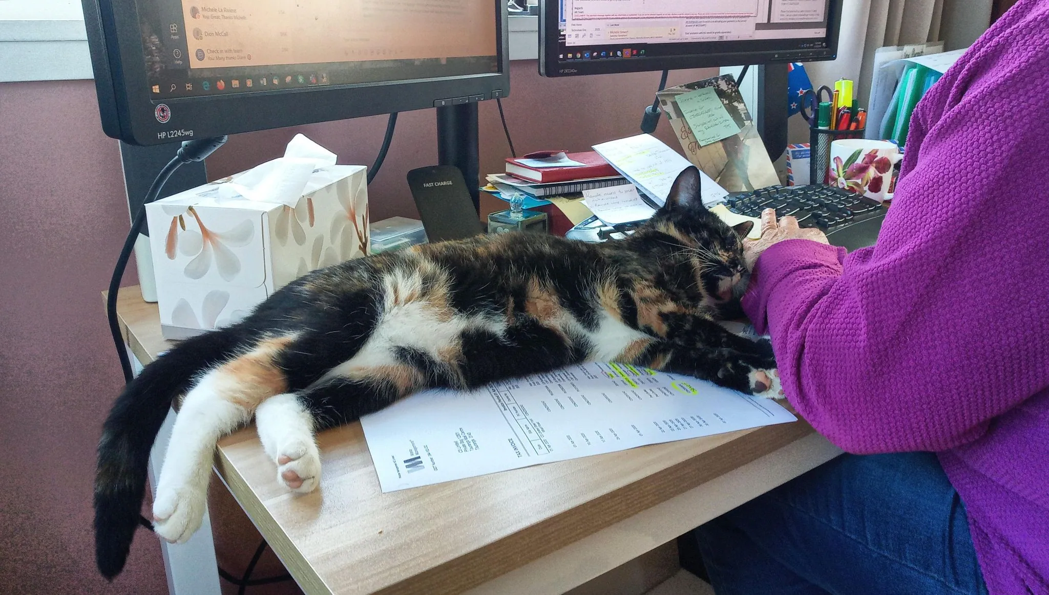 Img 20200511 120305 dro