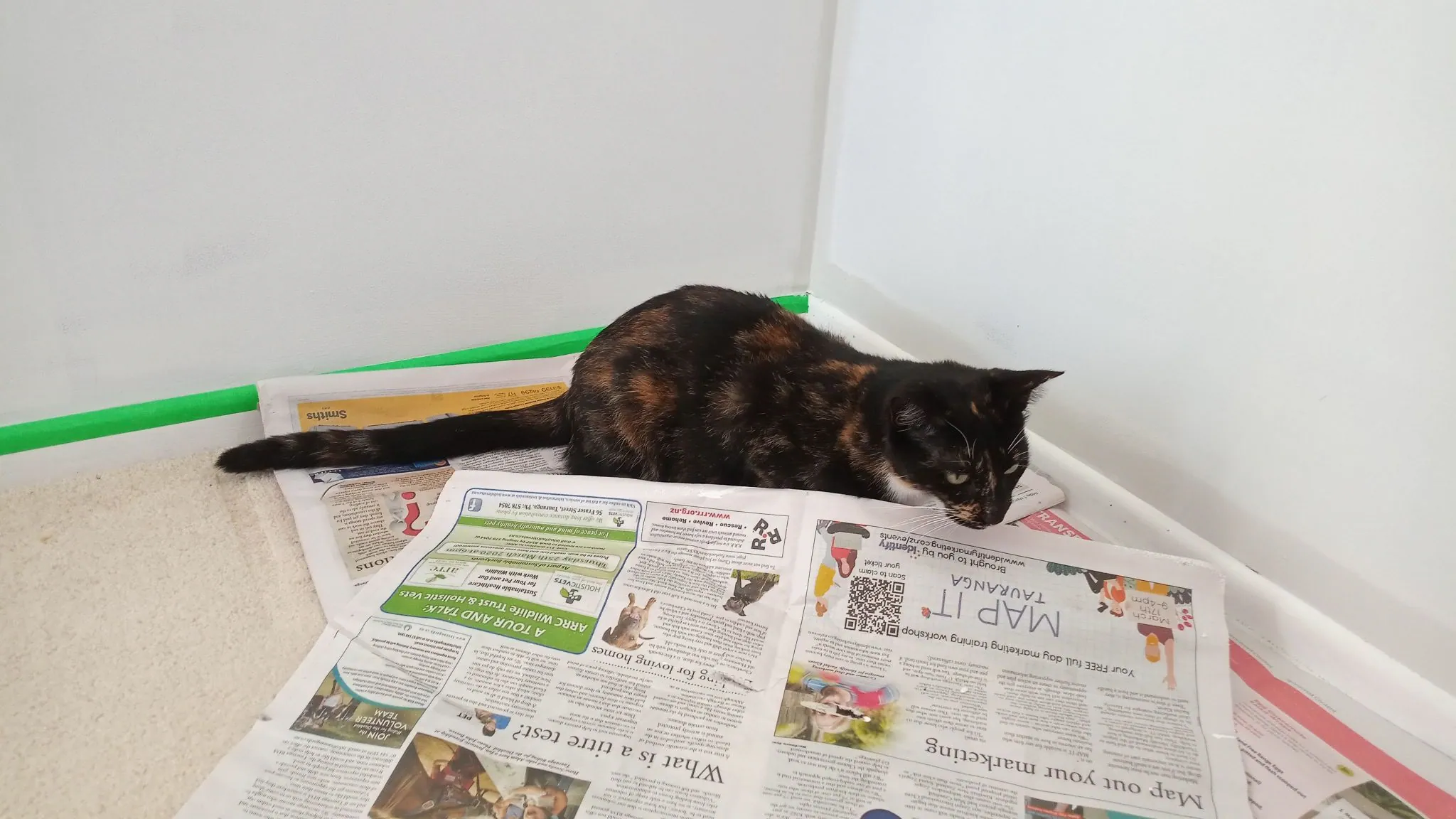 Img 20210313 155550 9