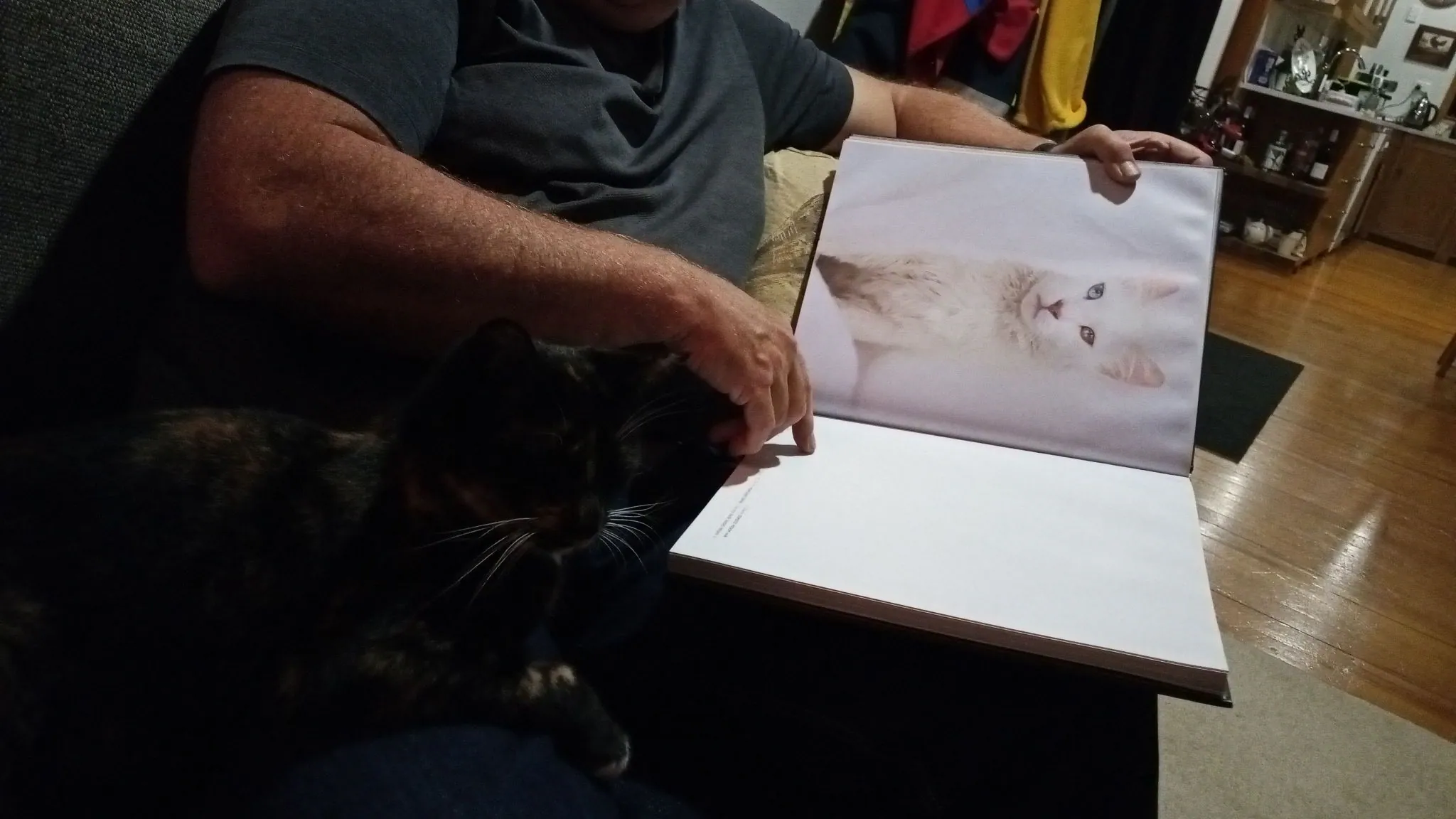 Img 20210609 182007 5