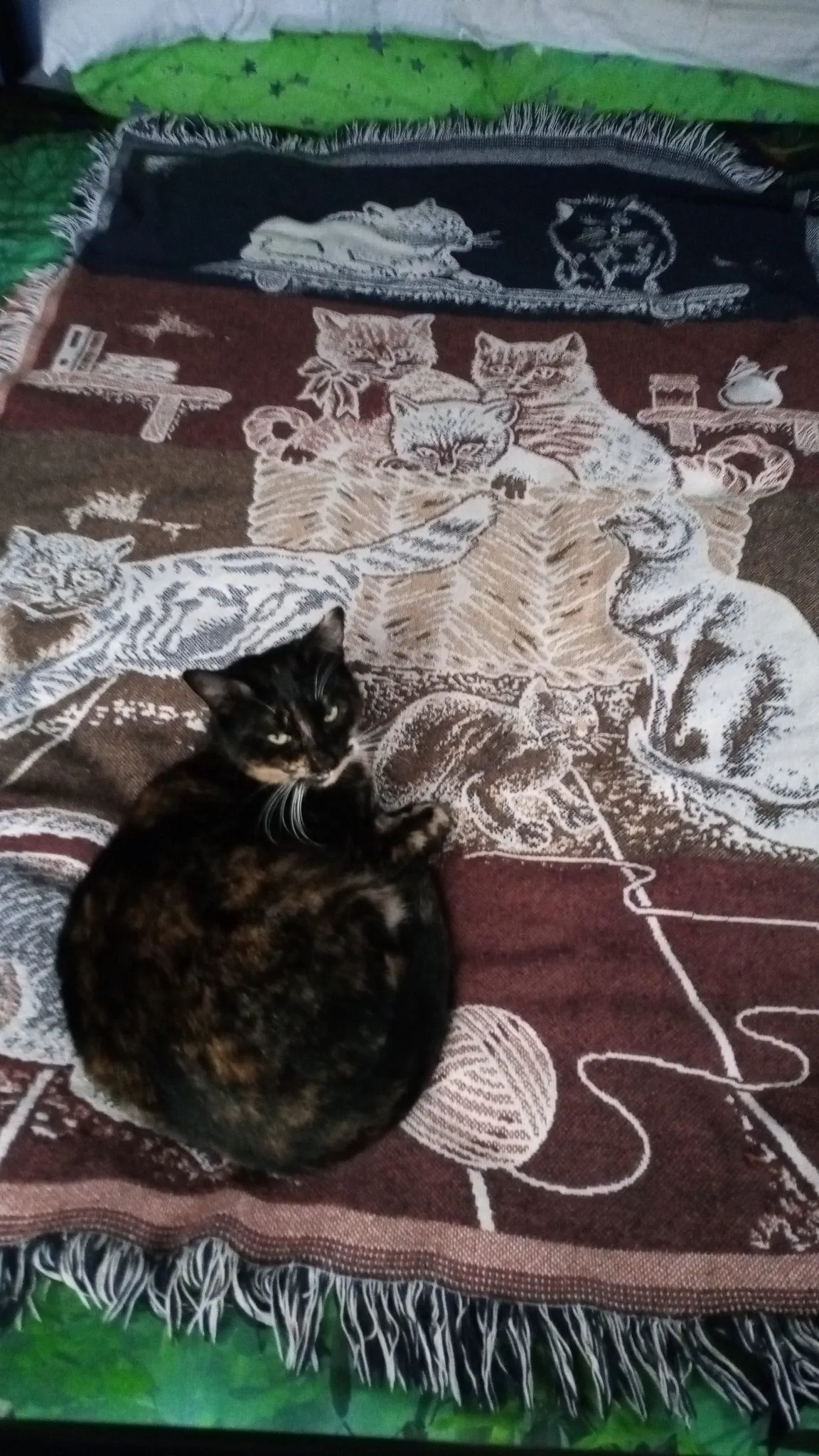 Img 20210619 104804 8