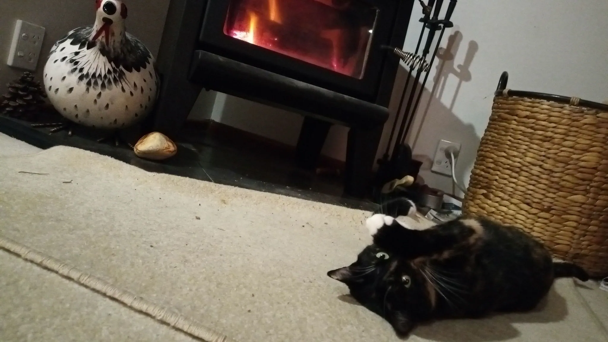 Img 20210704 185125 6