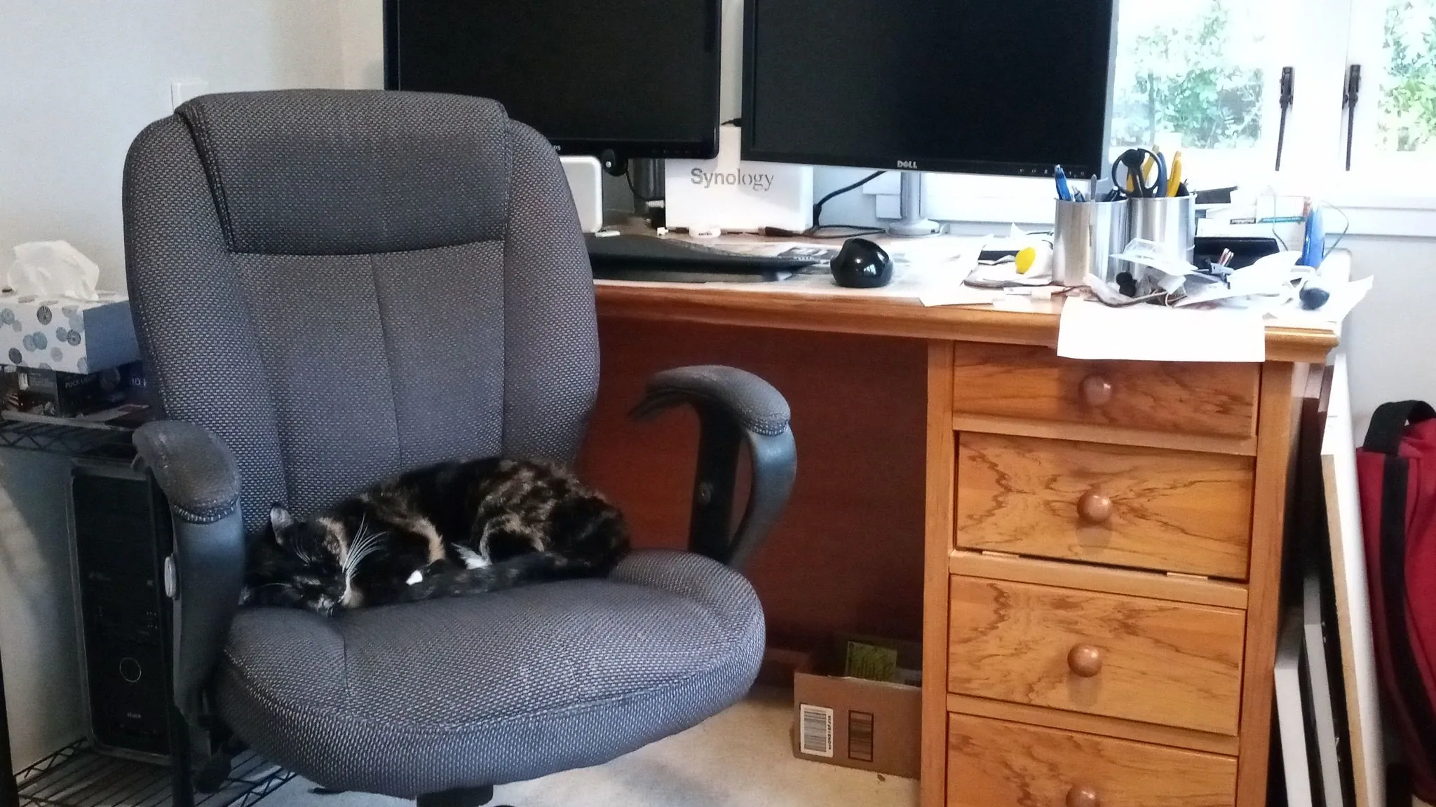 Img 20210717 154422 5