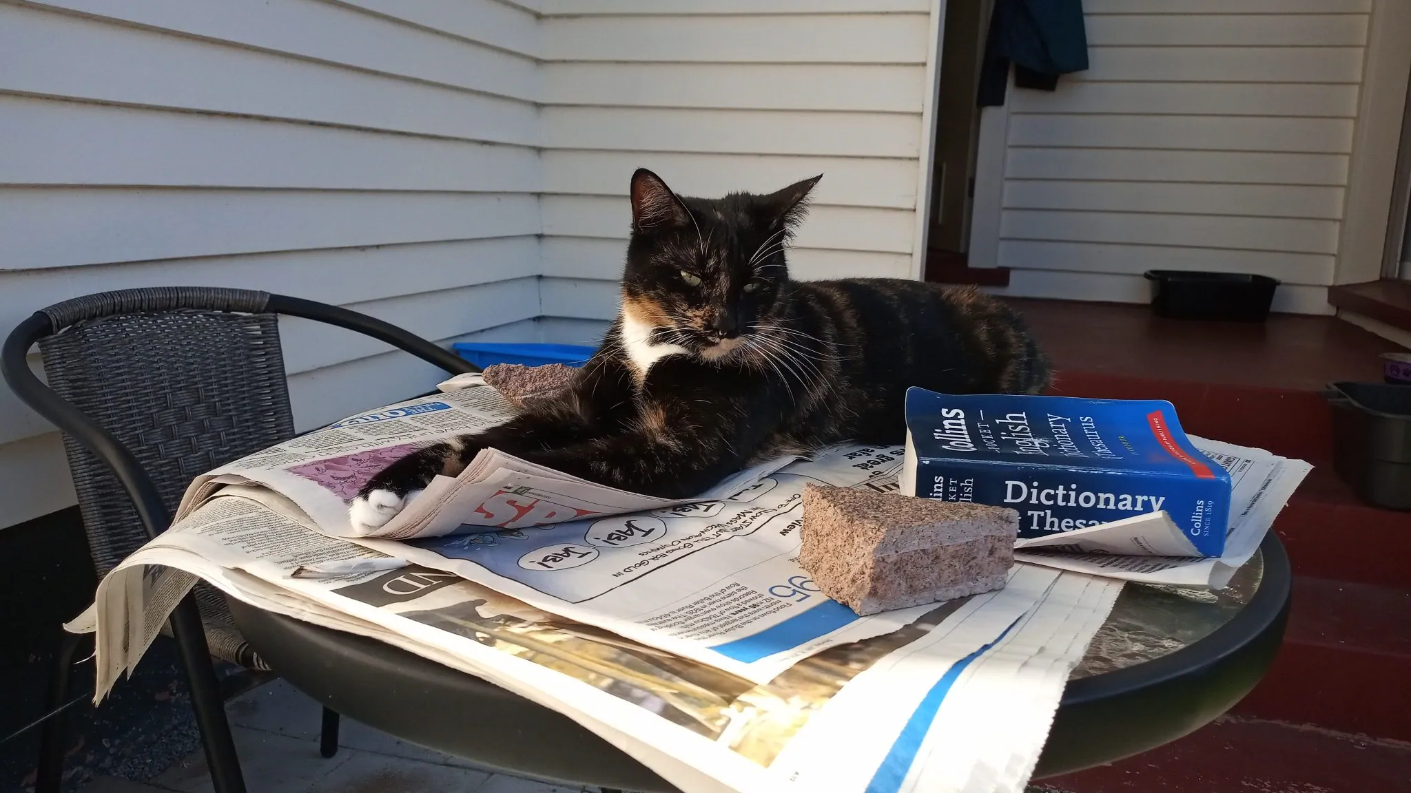 Img 20210801 134916 0