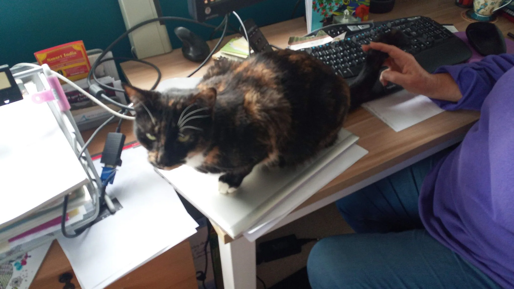 Img 20210818 112757